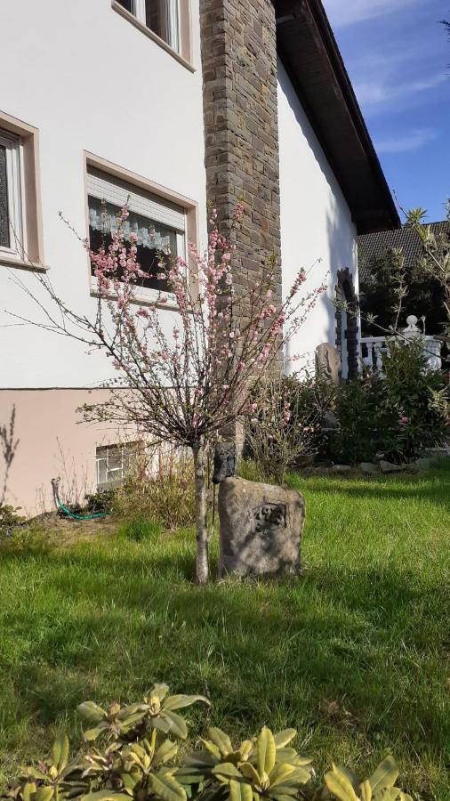 Ettringen  Im Vulkanland Fewo Bis 6 Personen מראה חיצוני תמונה